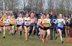 Womens Under-20s 2023 UK CAU Inter Counties Cross Country Champs, Prestwold Hall, Loughborough. Photo: David T. Hewitson/Sports for All Pics